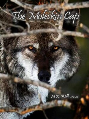 cover image of The Moleskin Cap